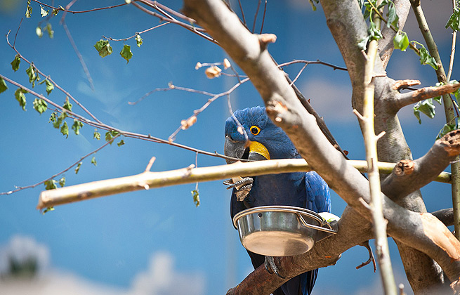 短信轰炸业务网