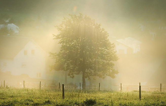 批量发送短信的平台