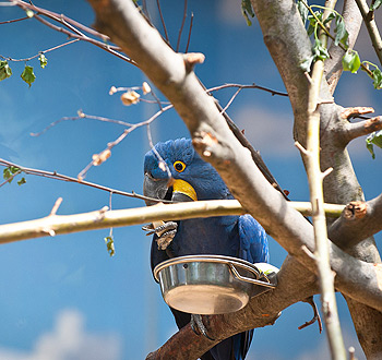 网络短信免费版