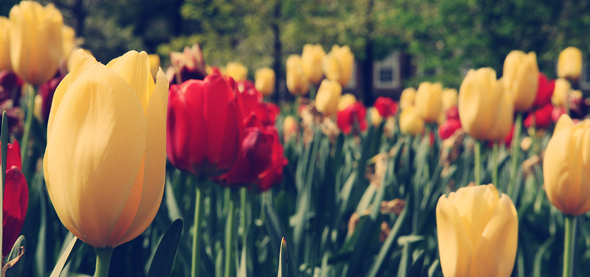 短信测压在线平台