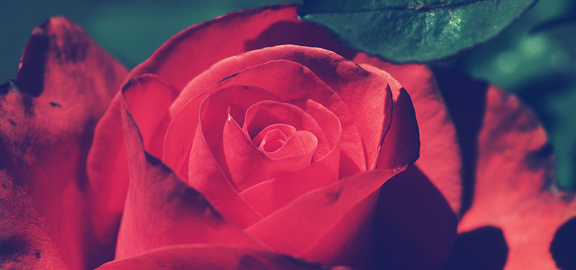 黑科技一键呼叫轰炸